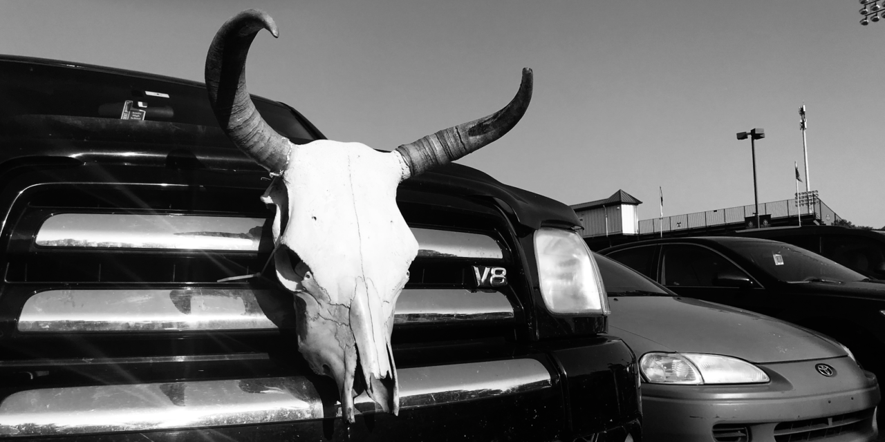 horns on truck