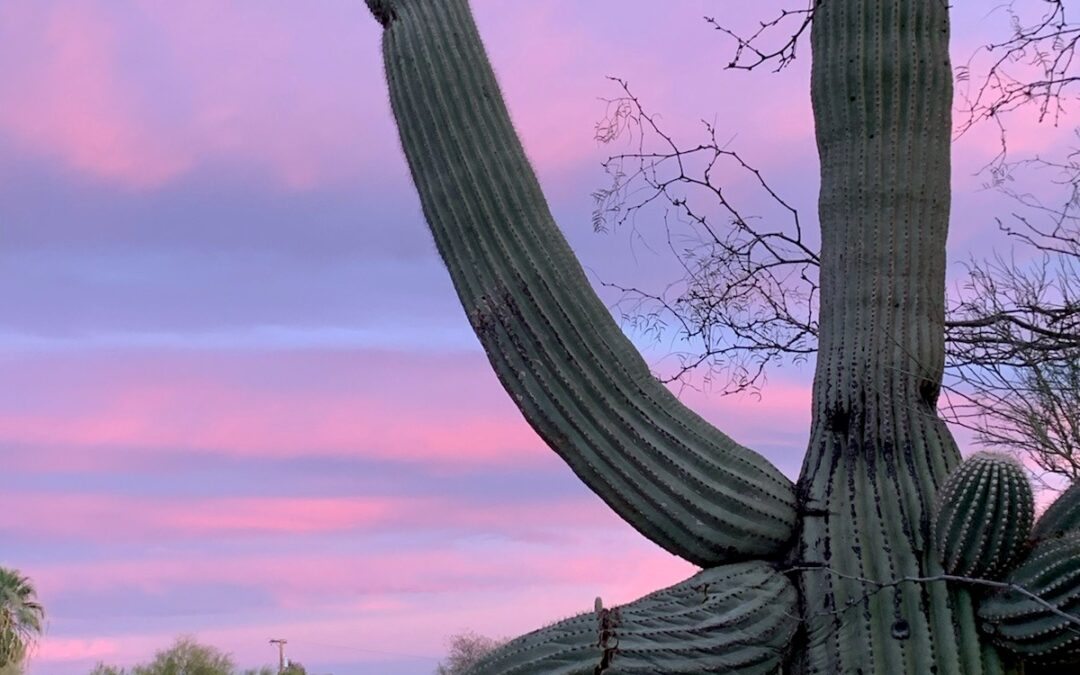 Robby Durning – Arizona Sunset