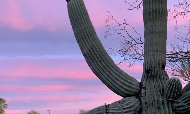 Robby Durning – Arizona Sunset