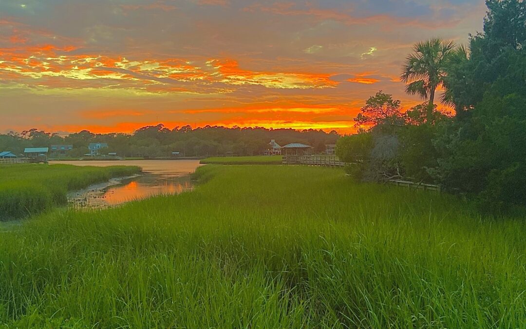 Chase Dillon – Pawley Island Marsh